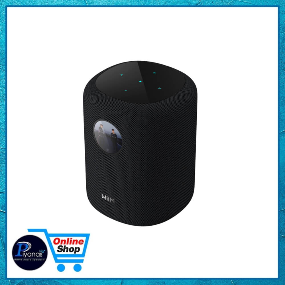 ลำโพงบลูทูธไร้สาย WIIM : SOUND (BLACK)